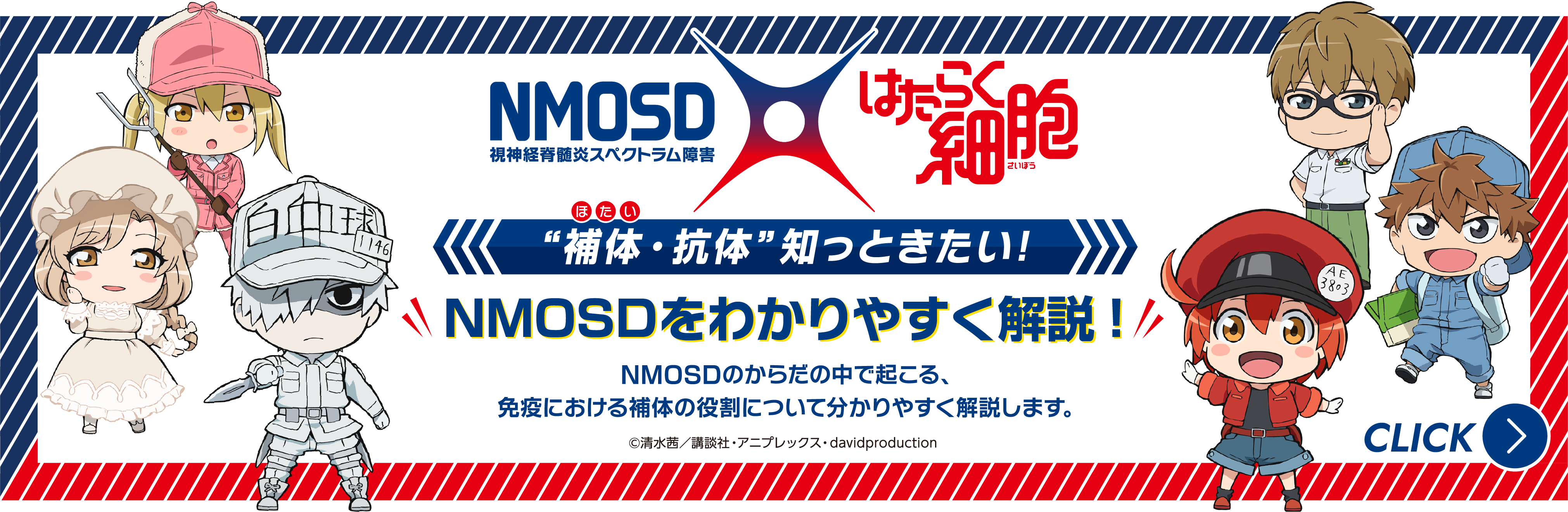 NMOSD×はたらく細胞 ”補体（ほたい）・抗体”・知っときたい！